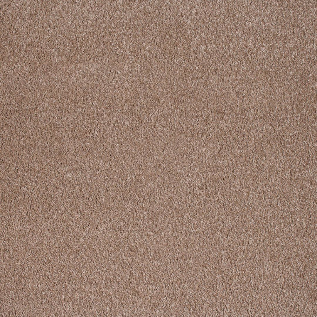 Invictus Centurion Latte