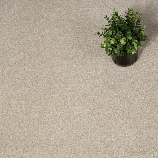 Orion Linen - 50oz Invictus Carpet