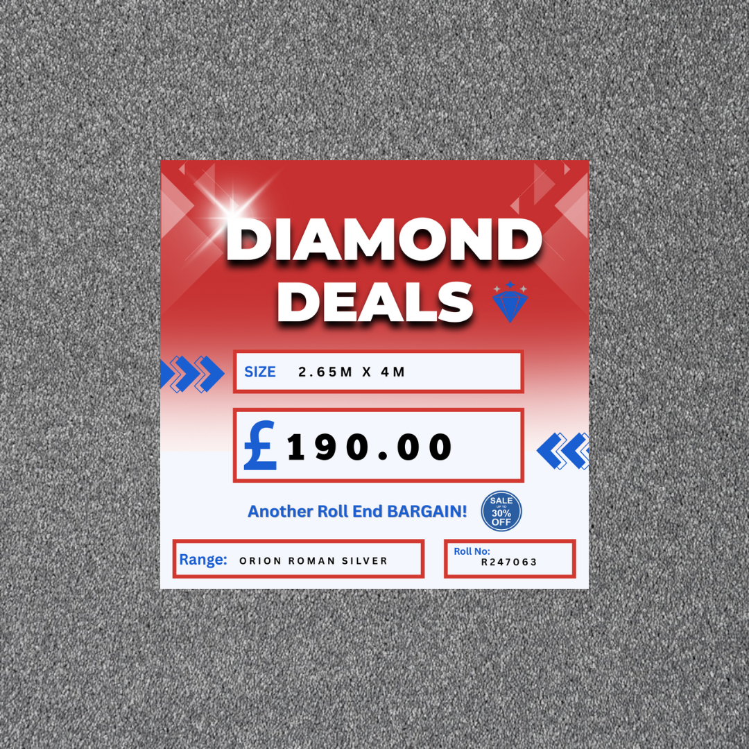 Invictus Orion Roman Silver 2.65m x 4m Roll End Carpet