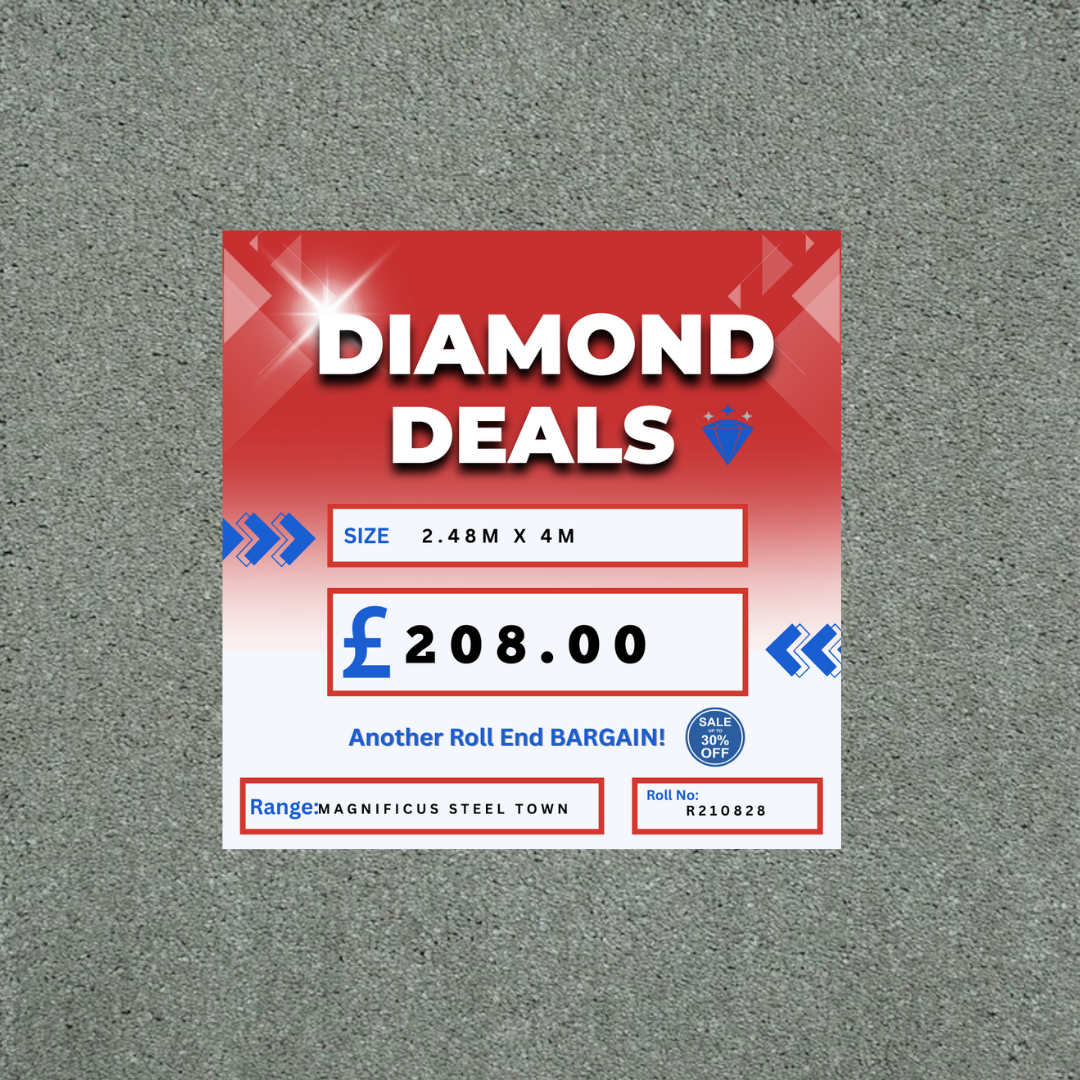 Invictus Magnificus Steel Town 2.48m x 4m Roll End Carpet