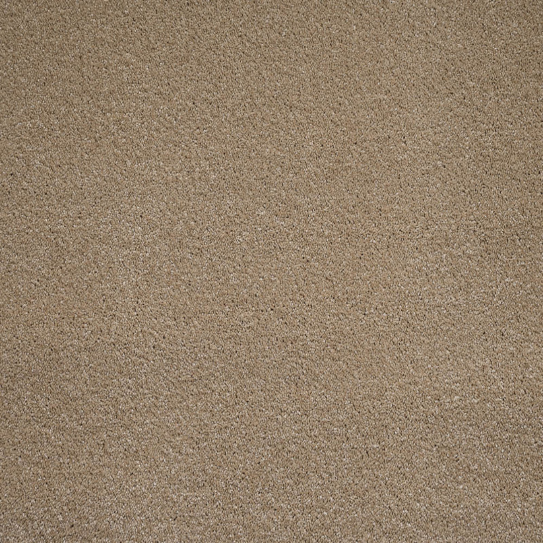 Sirius Biscuit - 70oz Invictus Carpet