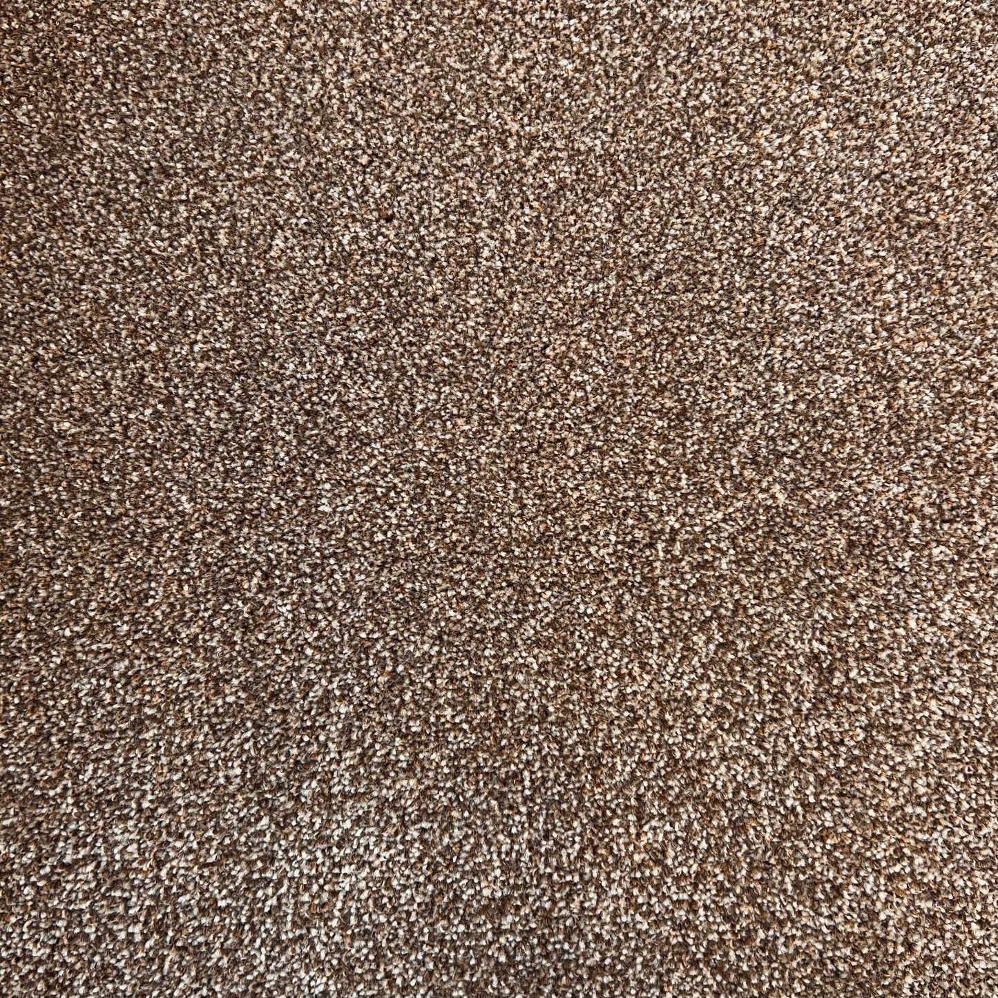 Trident Ash