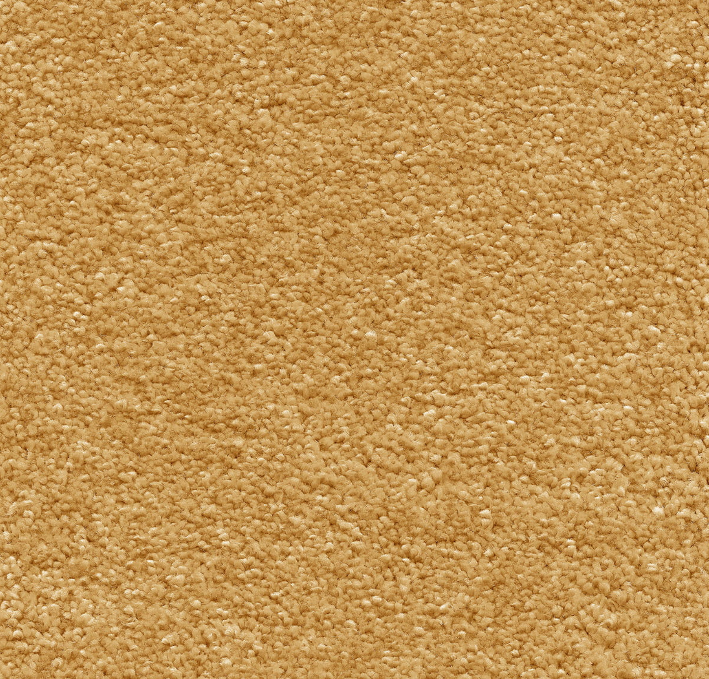 Orion Golden honey