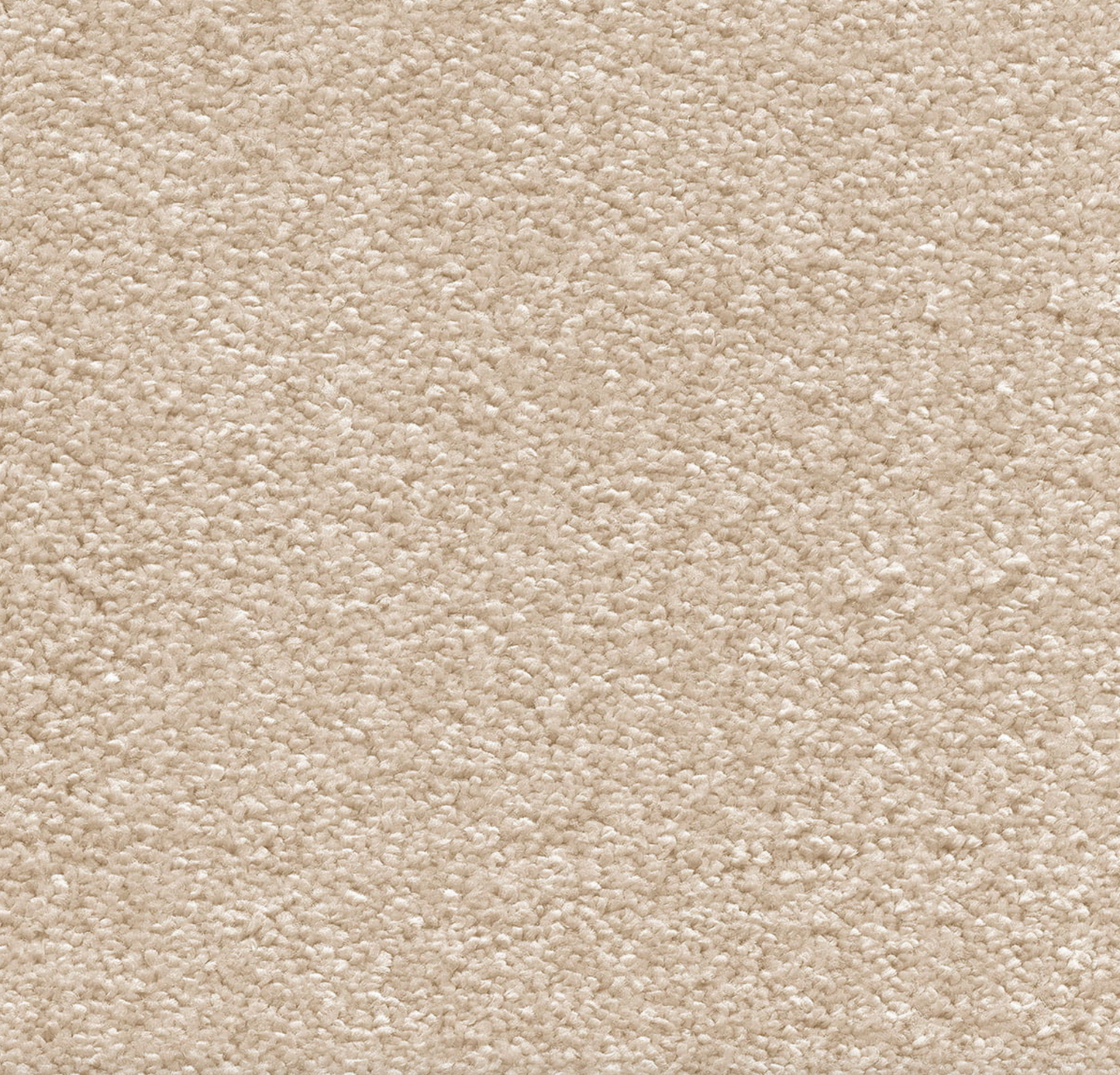 Orion Latte - 50oz Invictus Carpet