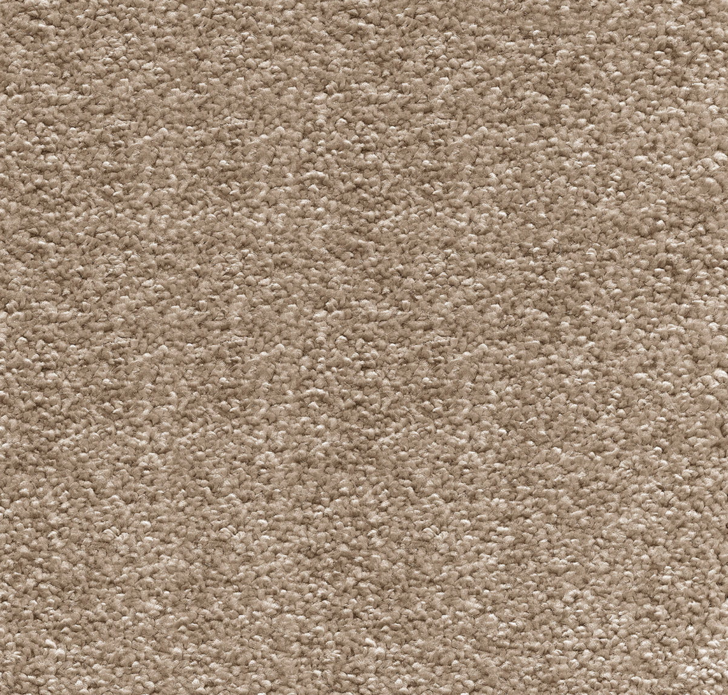 Orion Sandy Beach - 50oz Invictus Carpet