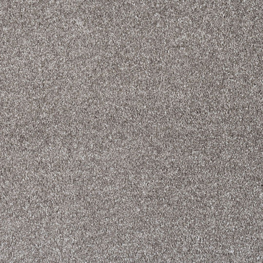 Yukon Morning Safari