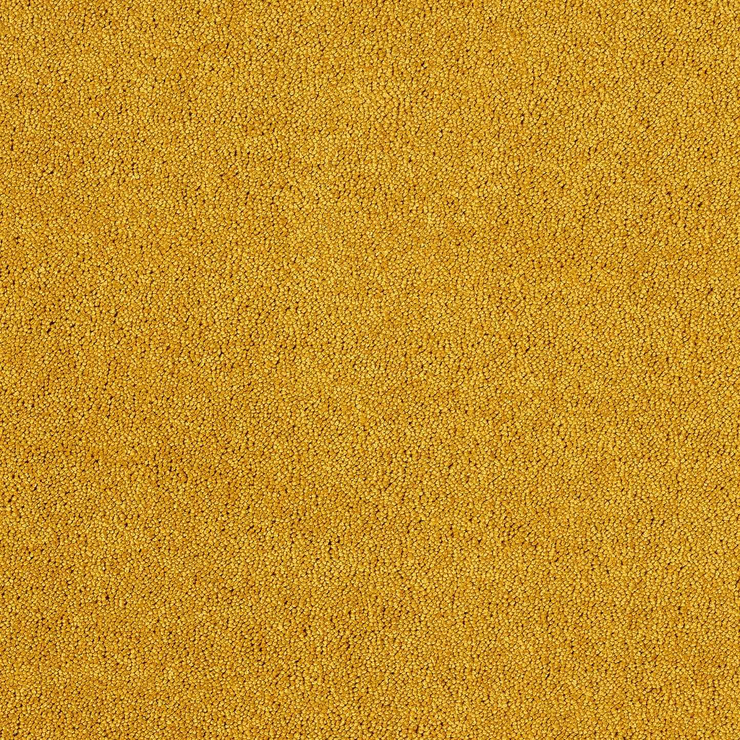 Velveteer Mustard