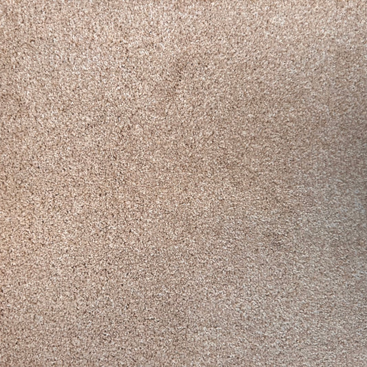 Trident Vicuna