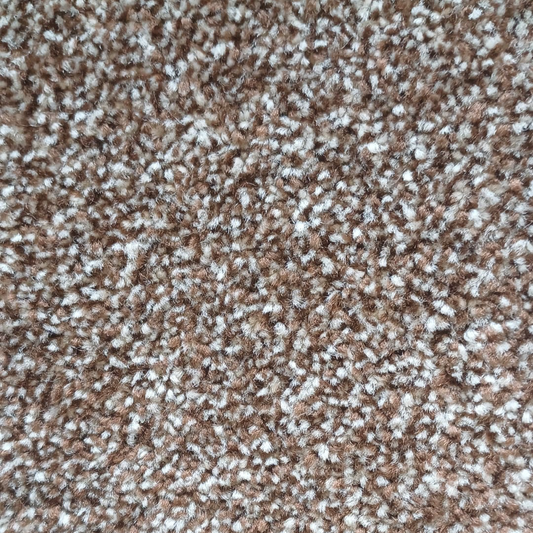 Montego Camel