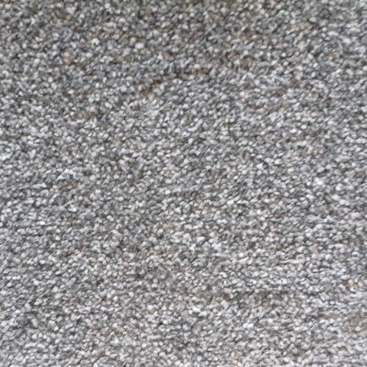 Montego Pigeon