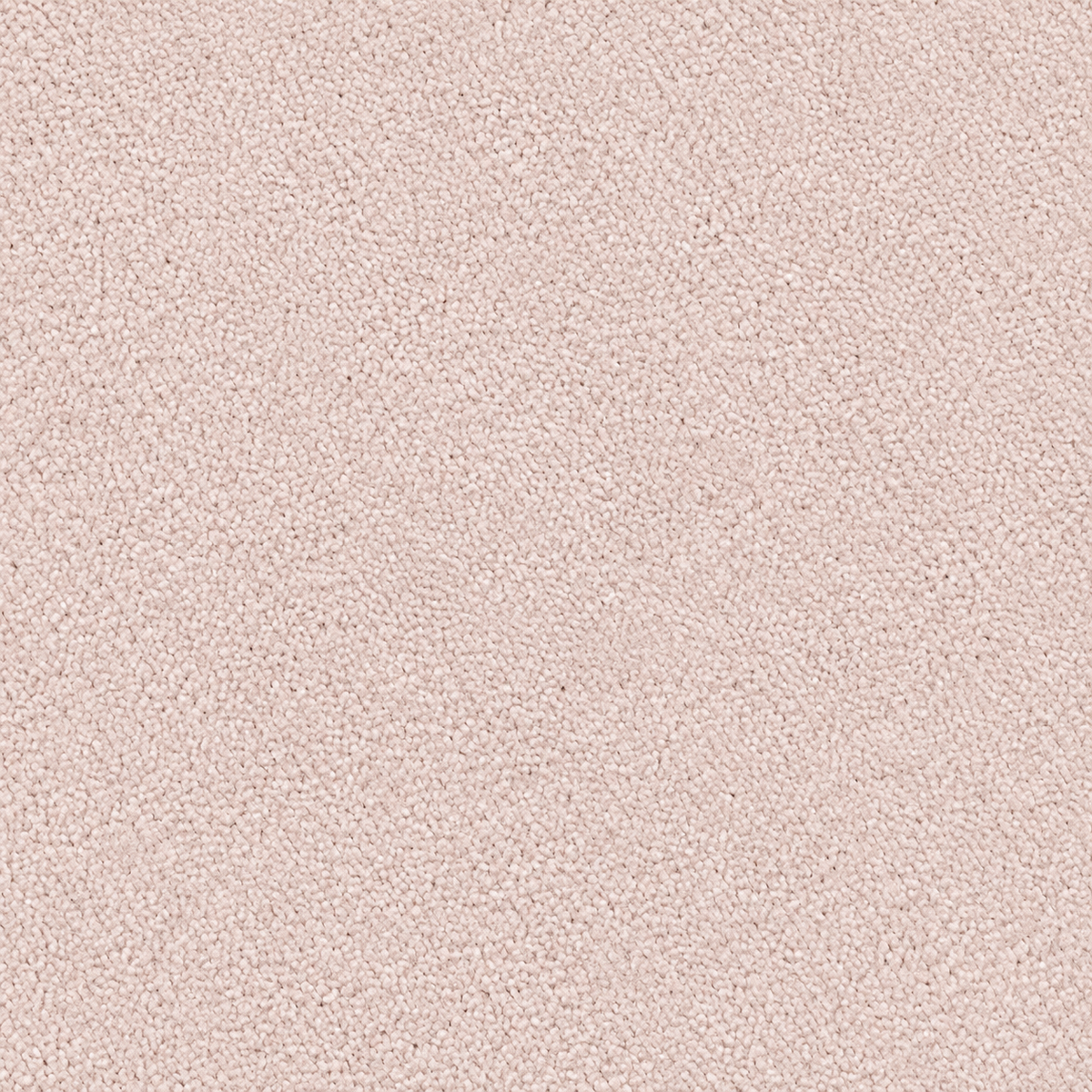 Summer Rose 5m x 4m Rollend