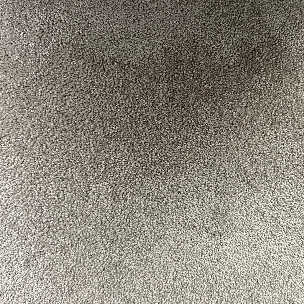 Dorado Morning Mist 3.35 x 4 m Roll End Carpet