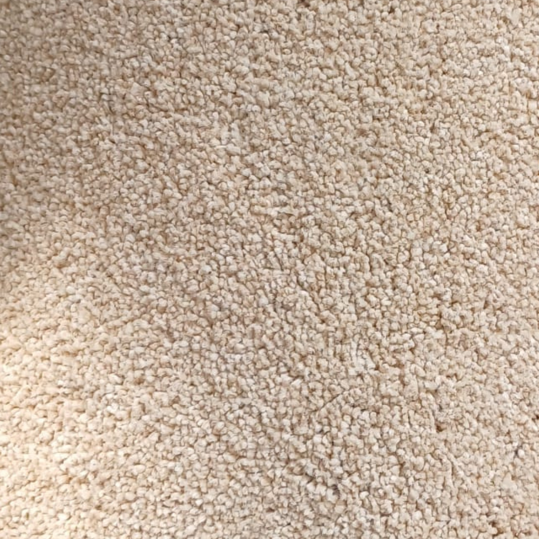 Jubel Acacia