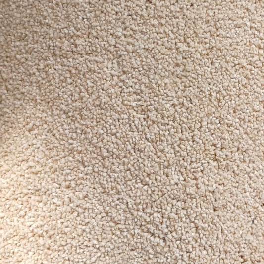 Jubel Acacia