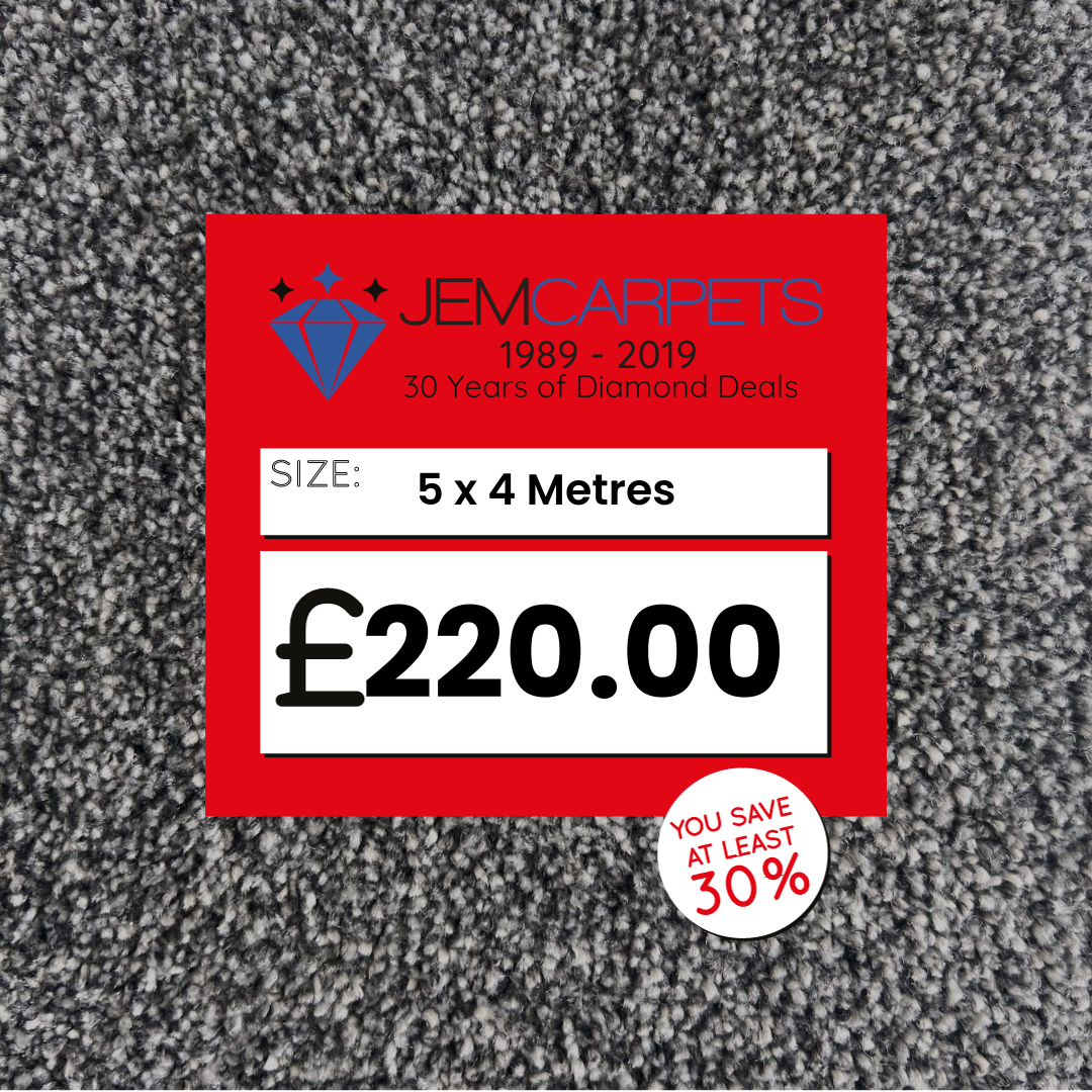 Optimize Dark Grey 5 x 4 m Roll End Carpet
