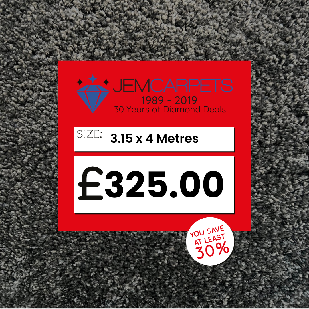 Dorado Raven 3.15 x 4 m Roll End Carpet