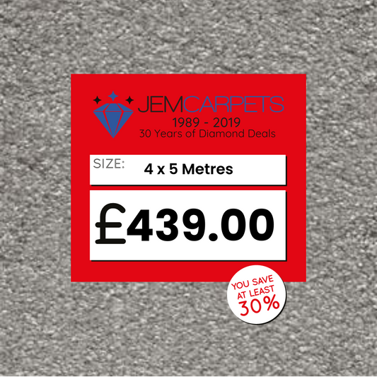 Sirius Grey Plank 4 x 5 m Roll End Carpet