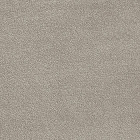 Severus Soft Silver 5.4 x 4 m Roll End Carpet