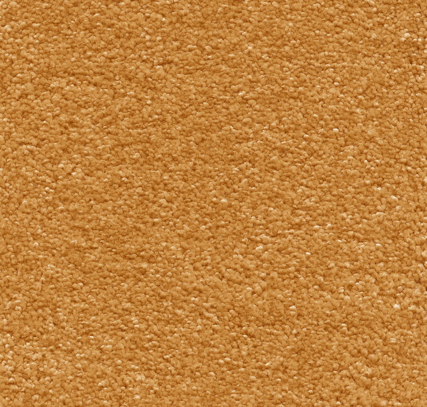 Sirius  Golden Honey