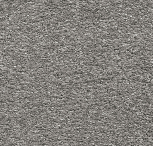 Sirius Elder Bark - 70oz Invictus Carpet
