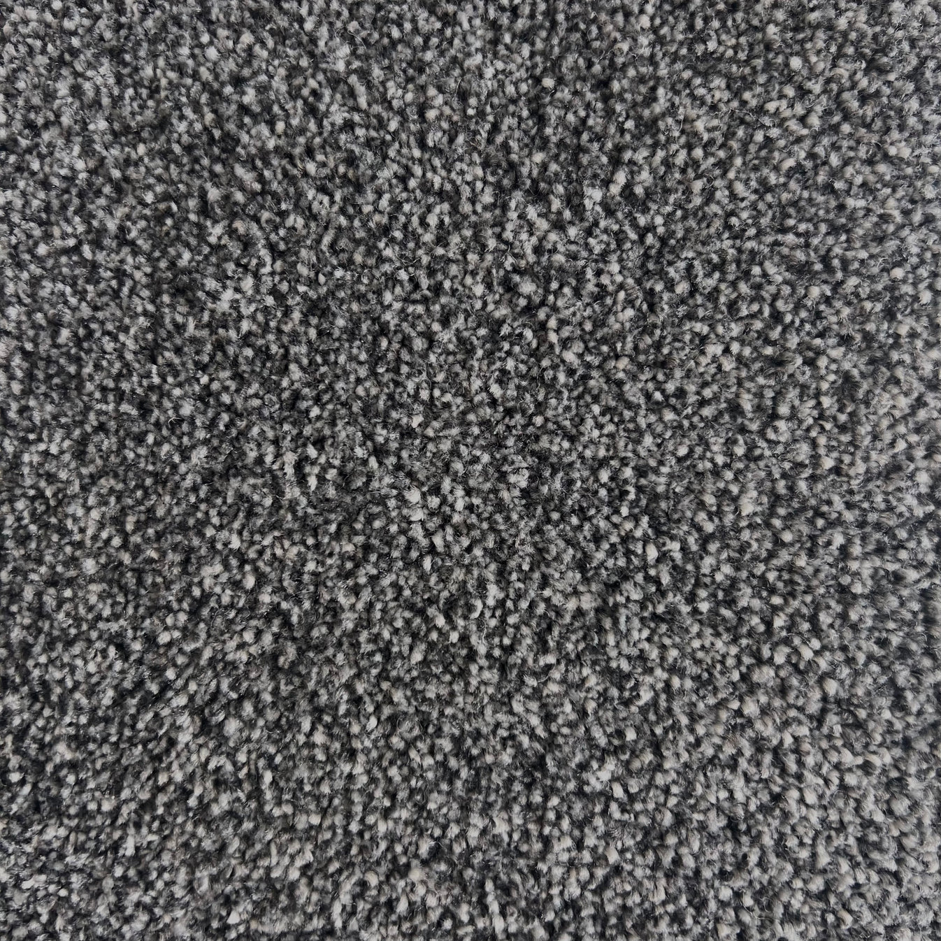 Optimize Dark Grey 5 x 4 m Roll End Carpet