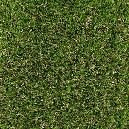 Lano Rosemary Grass